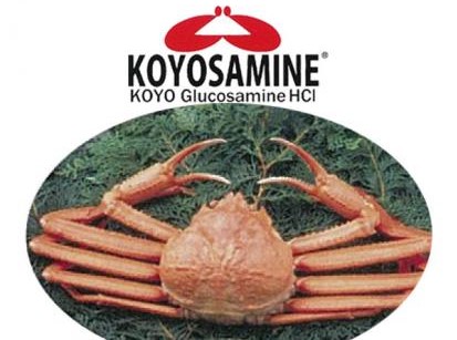 Koyosamine